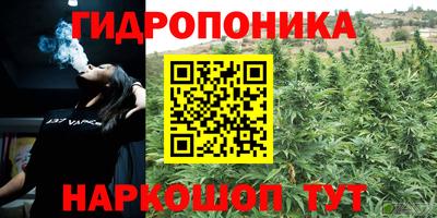 гашик Апрелевка