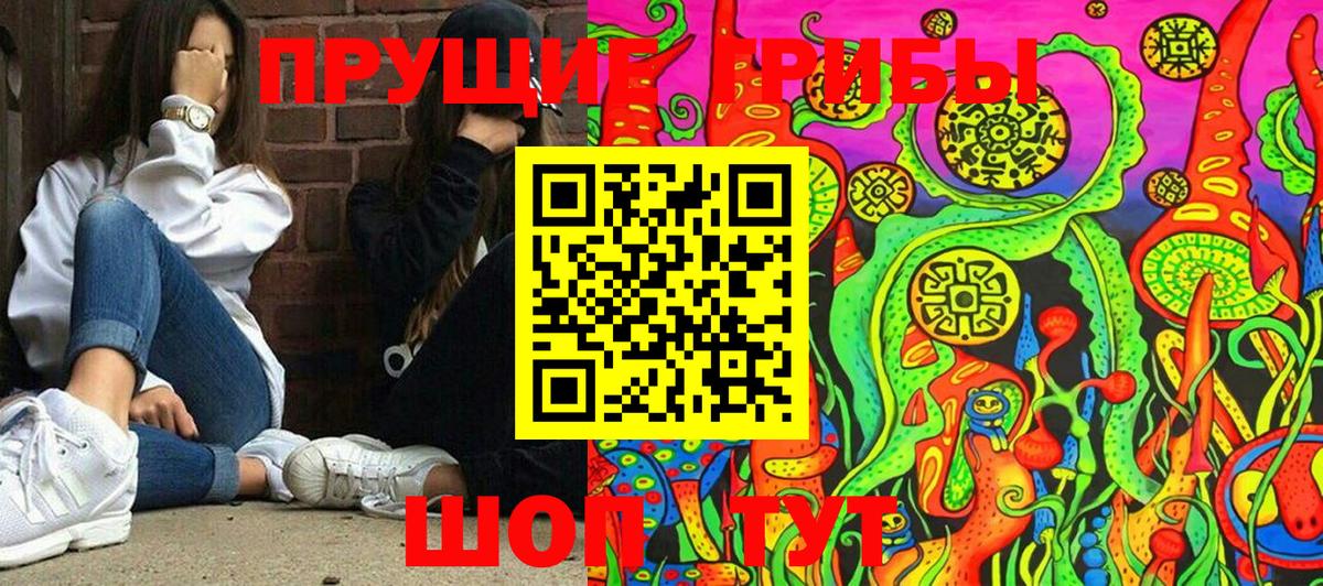 Псилоцибиновые грибы Psilocybe  Галлюциногенные грибы мухоморы  Вход с VPN  Баксан 